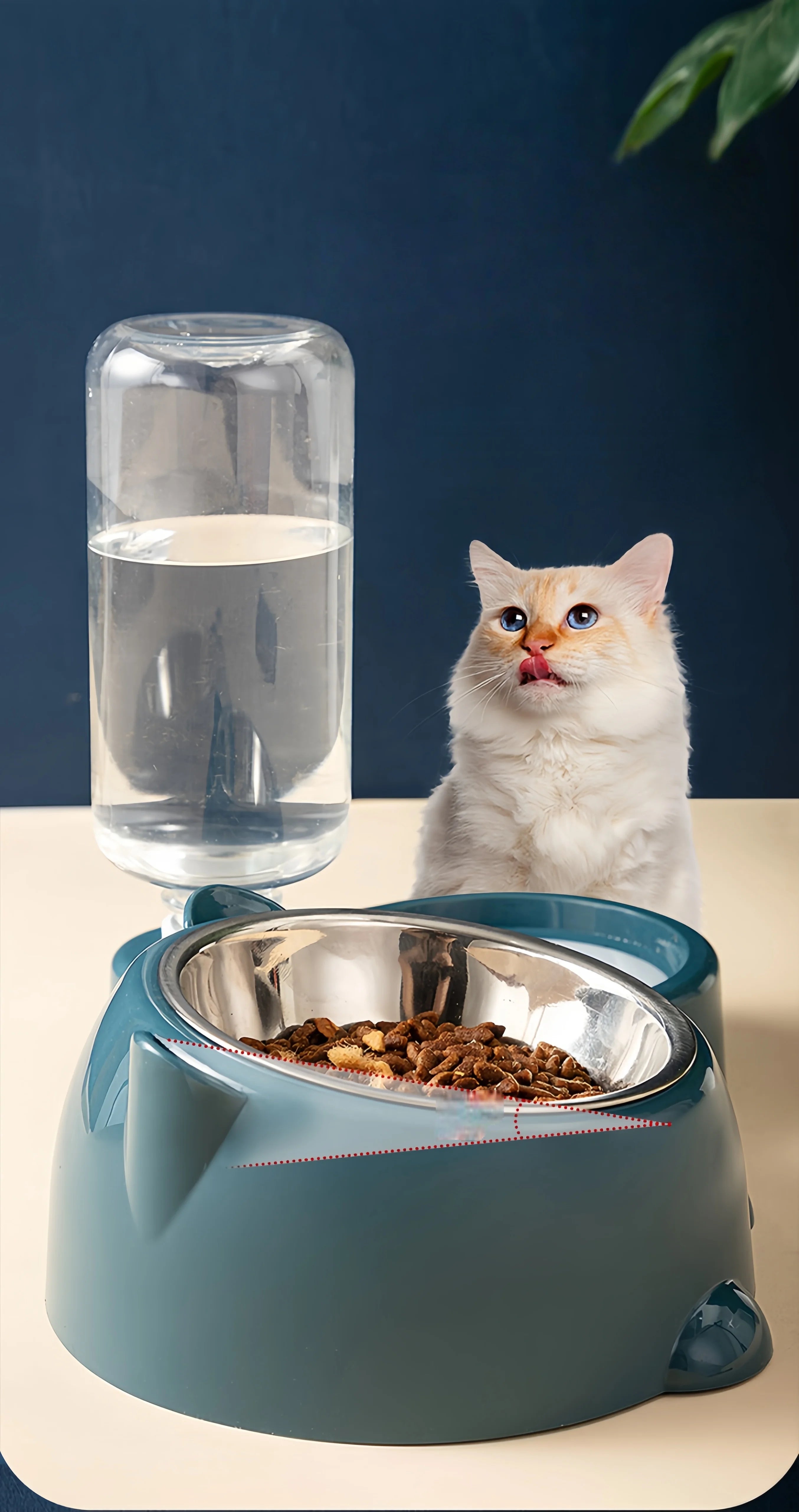 Cat Bowl 2-in-1 Drinking Water Dog Food Pot Water Bowl Rice Pot Pet Supplies