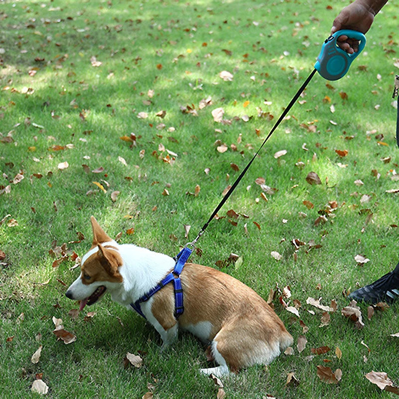3 Meters 5 Meters Retractable Dog Leash Pet Leash Traction Rope Belt Automatic Flexible Leash