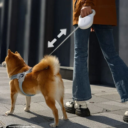 5M Retractable Dog Leash Pet Leashes Traction Rope Reflective Belt Automatic Flexible
