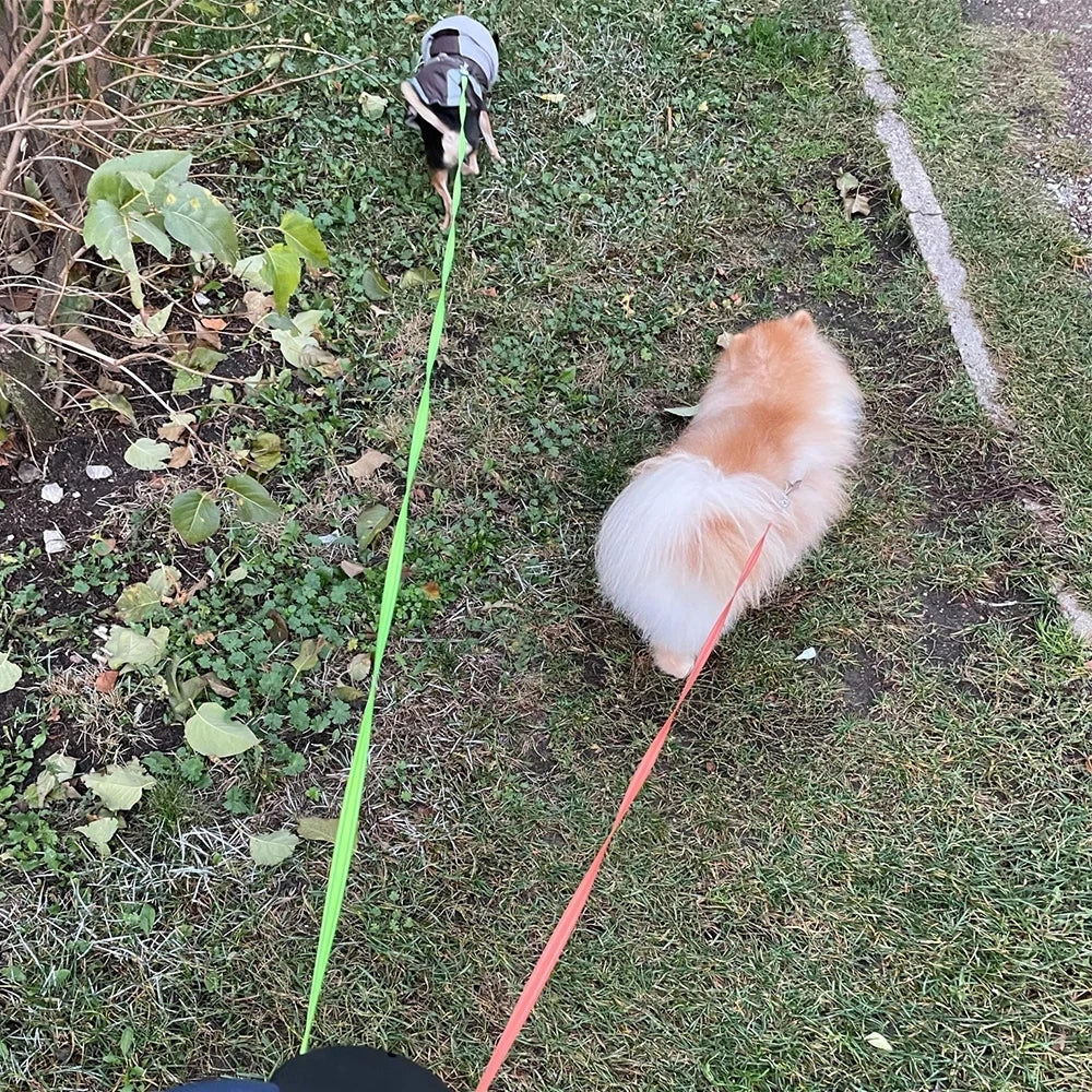 Double dog Leash Light retractable roulette double end leash Portable rotating pet leash for 2 dogs walking pet supplies