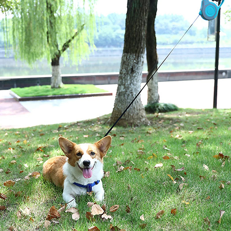 3 Meters 5 Meters Retractable Dog Leash Pet Leash Traction Rope Belt Automatic Flexible Leash